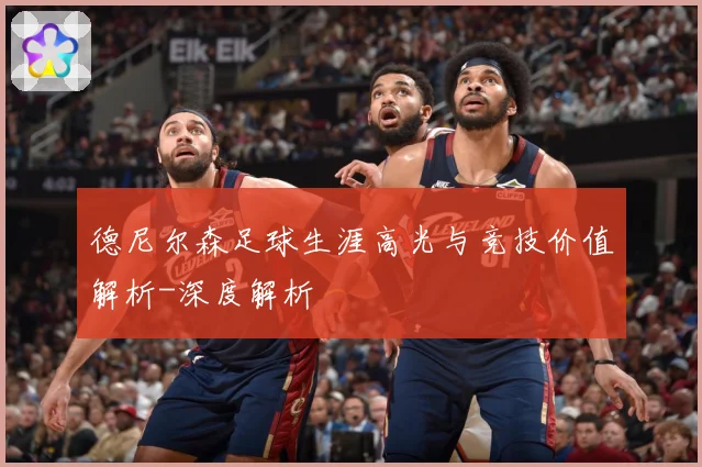 德尼尔森足球生涯高光与竞技价值解析-深度解析